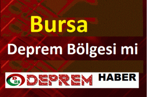 Bursa
